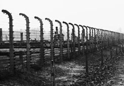 Auschwitz - Birkenau Memorial