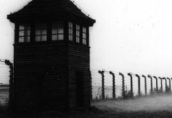 Main Exhibition  Part II - Auschwitz II Birkenau